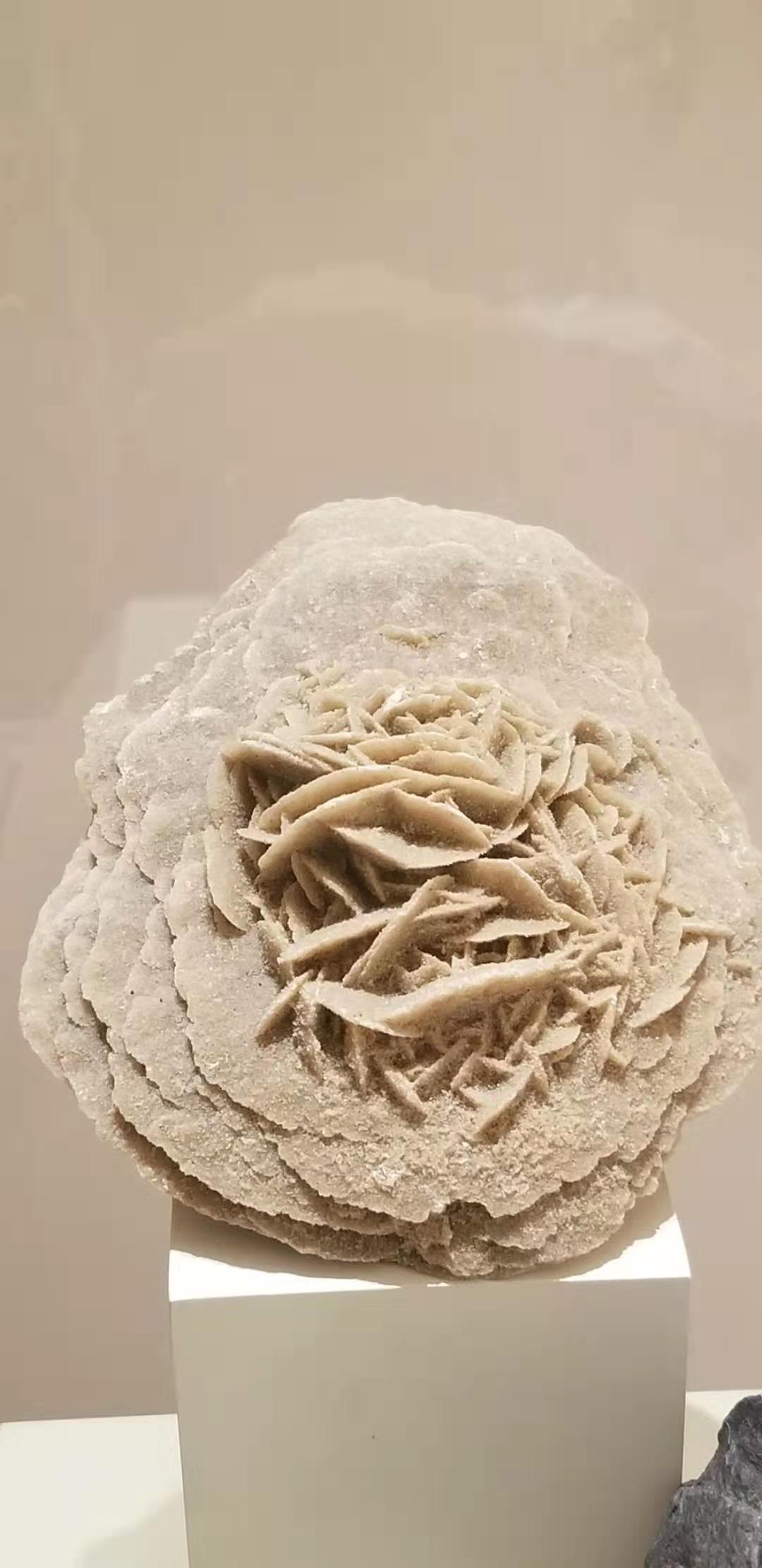 利雅得 第三天