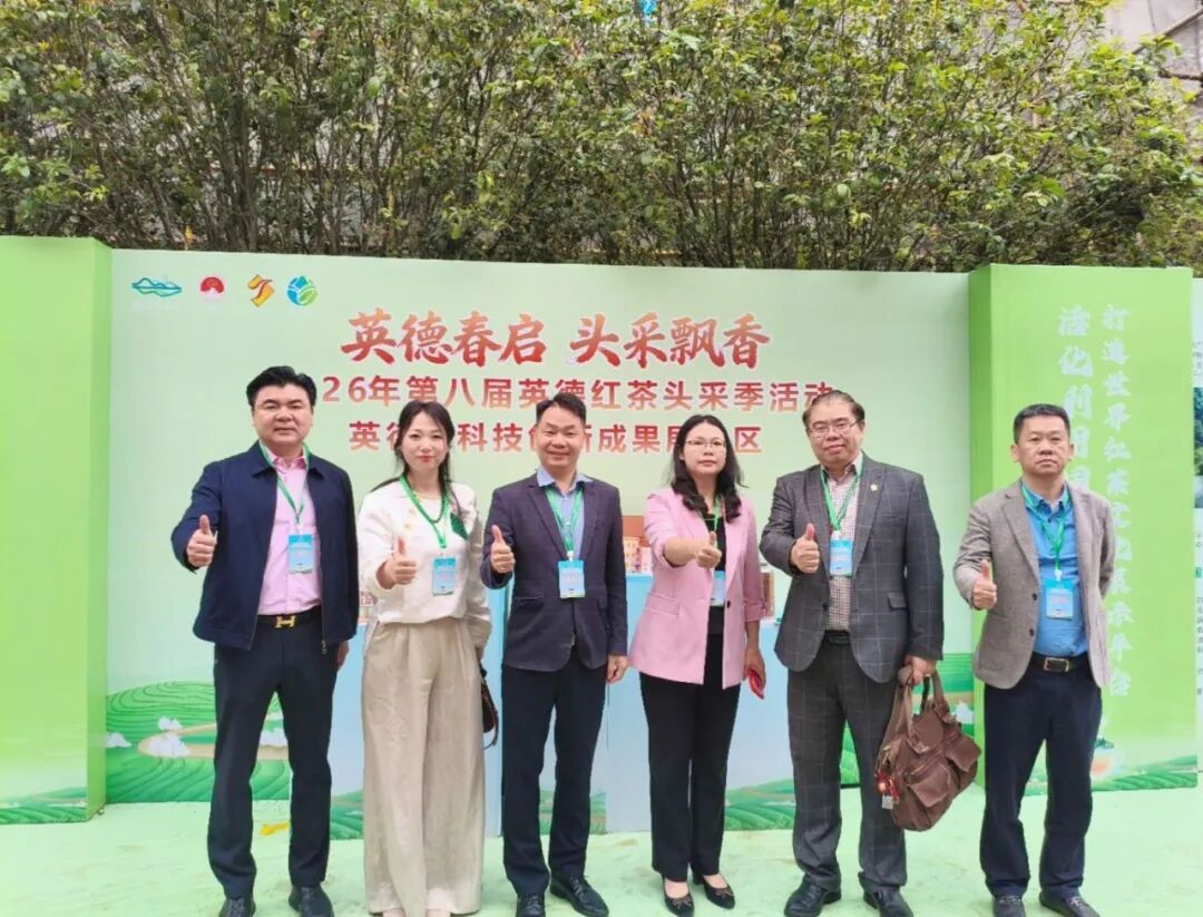 春启英德,茶香万里 | 沙特光辉旅行社总经理周东妮荣幸受聘为“英德红茶海外推广大使”
