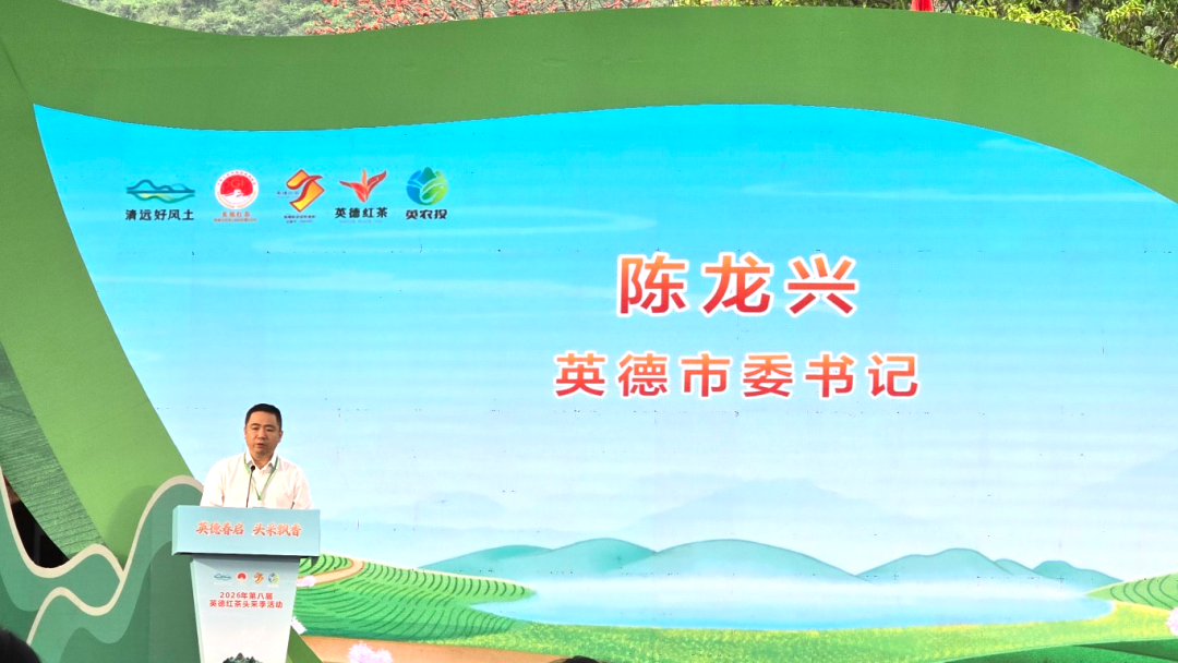 春启英德,茶香万里 | 沙特光辉旅行社总经理周东妮荣幸受聘为“英德红茶海外推广大使”